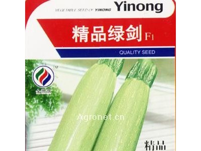 供应精品绿剑F1—西葫芦种子