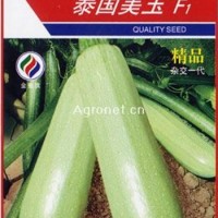 供应泰国美玉F1—西葫芦种子