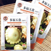 供应多福玉盘—西葫芦种子